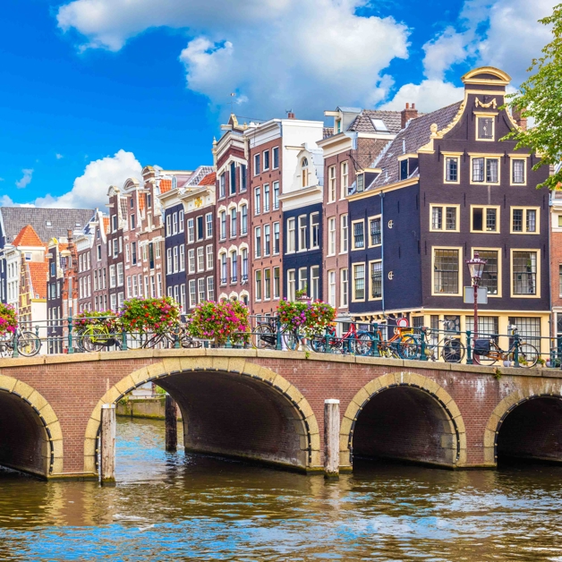 Card Grid Amsterdam