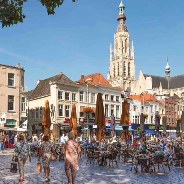 Card Grid Breda